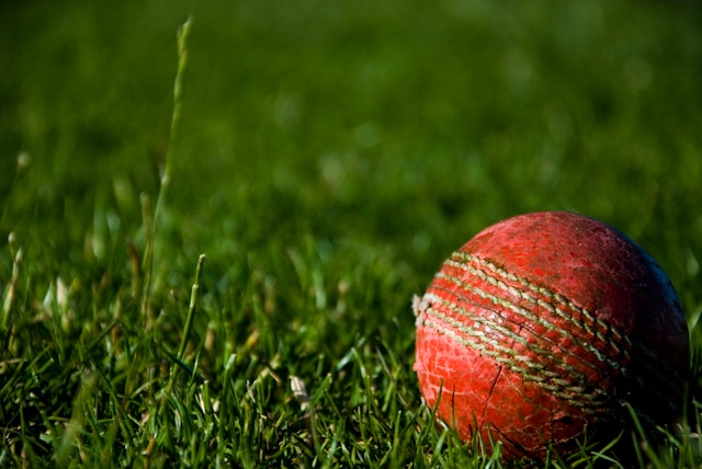 Fantasy Sports Cricket – A Complete Beginner’s Guide